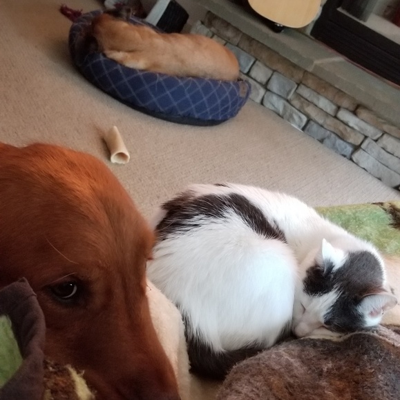 Meet your Posher, Shannah - Picture 6 of 8